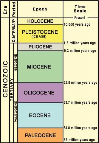 Cenozoic Time Period