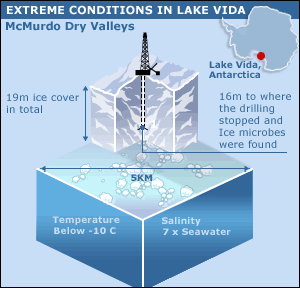 Conditions in Lake Vida