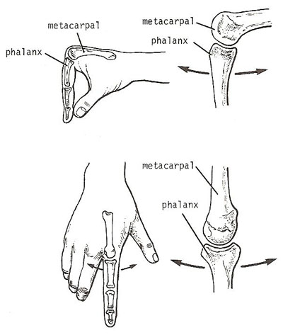 metacarpophalangeal joint extension