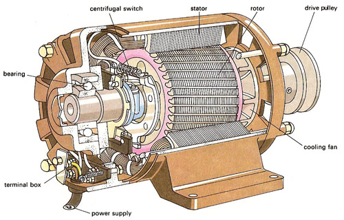 Induction Motor Pictures