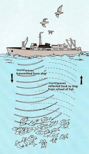 ship sonar