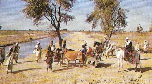 The modern inhabitants of the Mohenjo-daro area, like their predecessors, still use the river as their lifeline. The river was not only important for irrigation of the fields in the vicinity of its banks but it was also essential for communications.