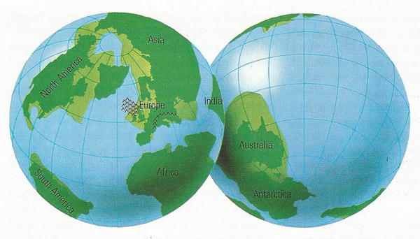 Earth's land masses during thePaleocene
