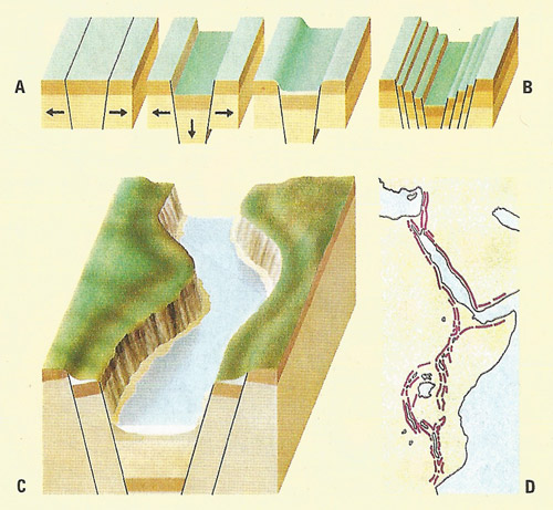rift valley diagram