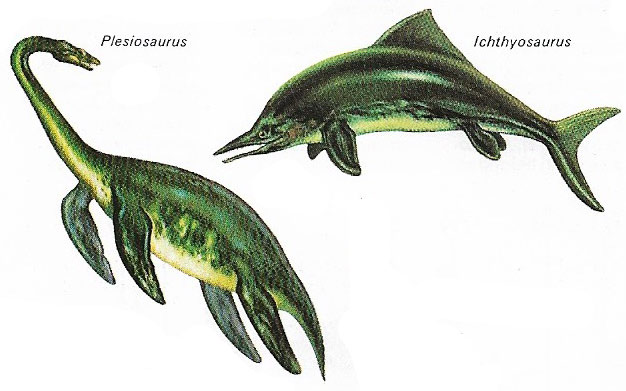 Plesiosaurus and Ichthyosaurus.