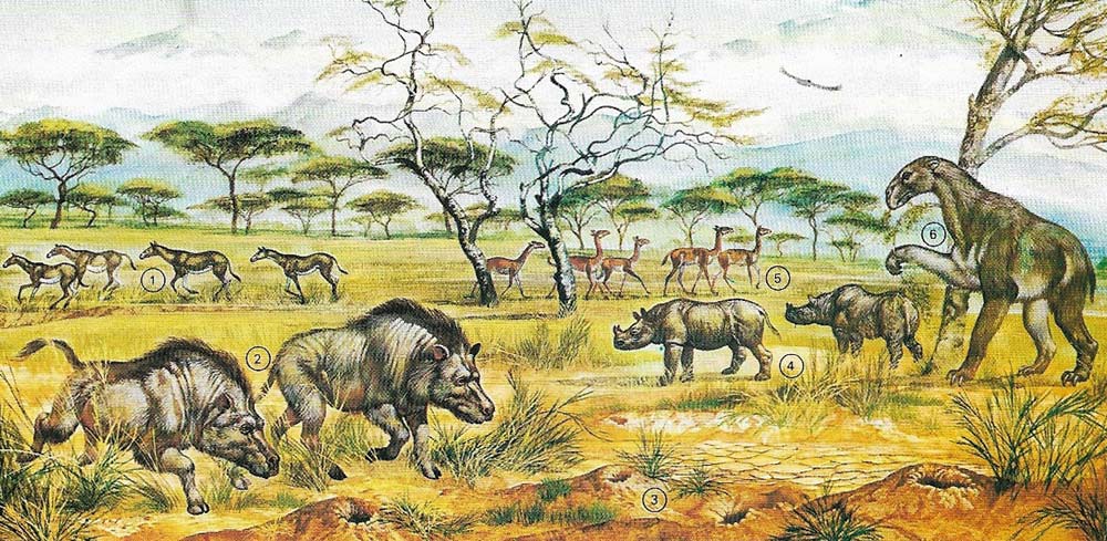 pliocene mammals